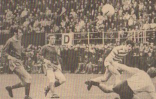 Rampant Celtic