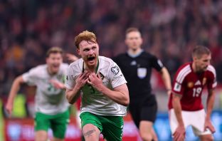 Liam Scales of Republic of Ireland celebrates