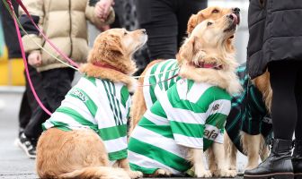 Celtic fans with their dogs are seen during the Scottish Premiership match